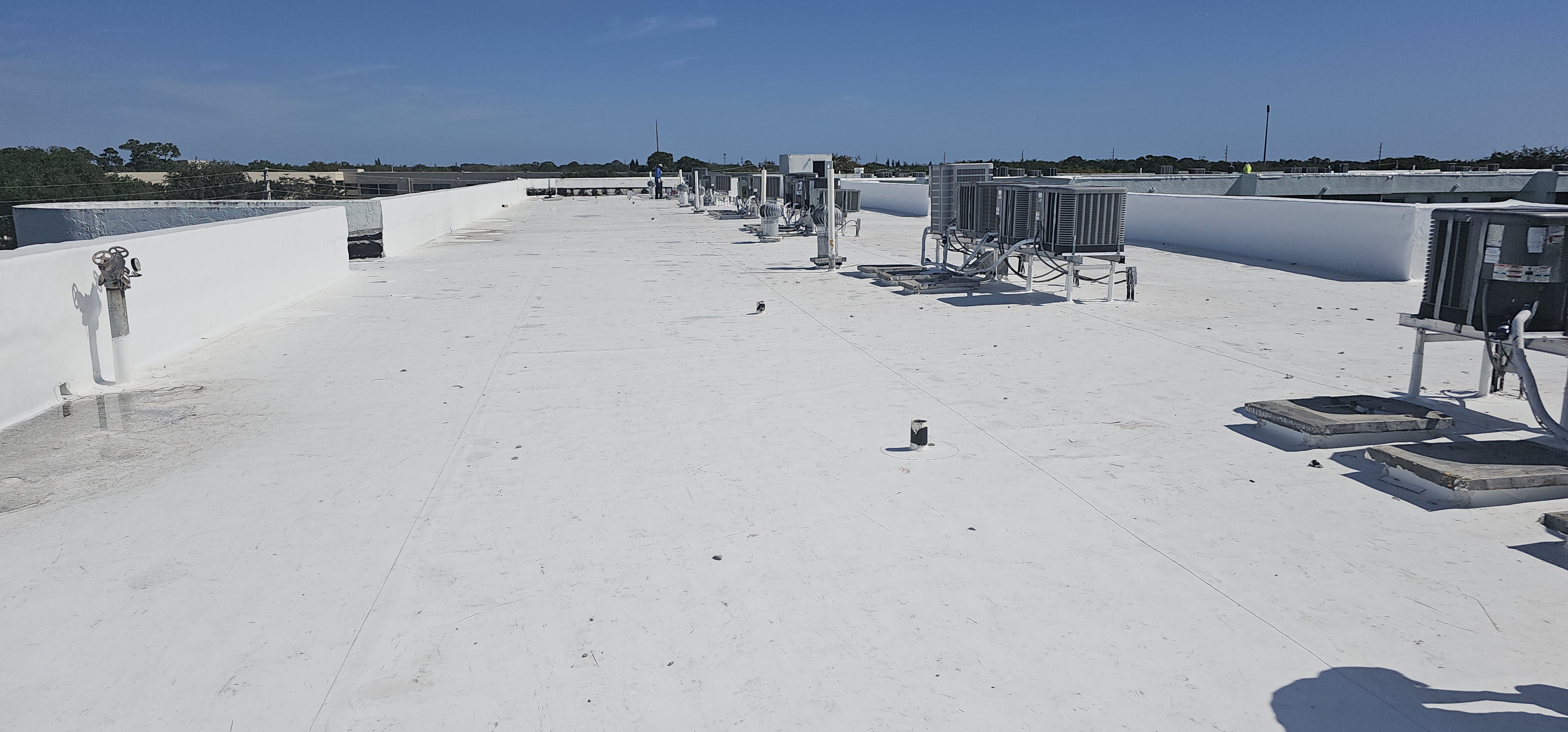 TPO commercial roof building
